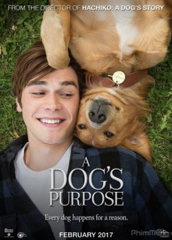 Banner Phim Mục Đích Sống Của Một Chú Chó (A Dog's Purpose)