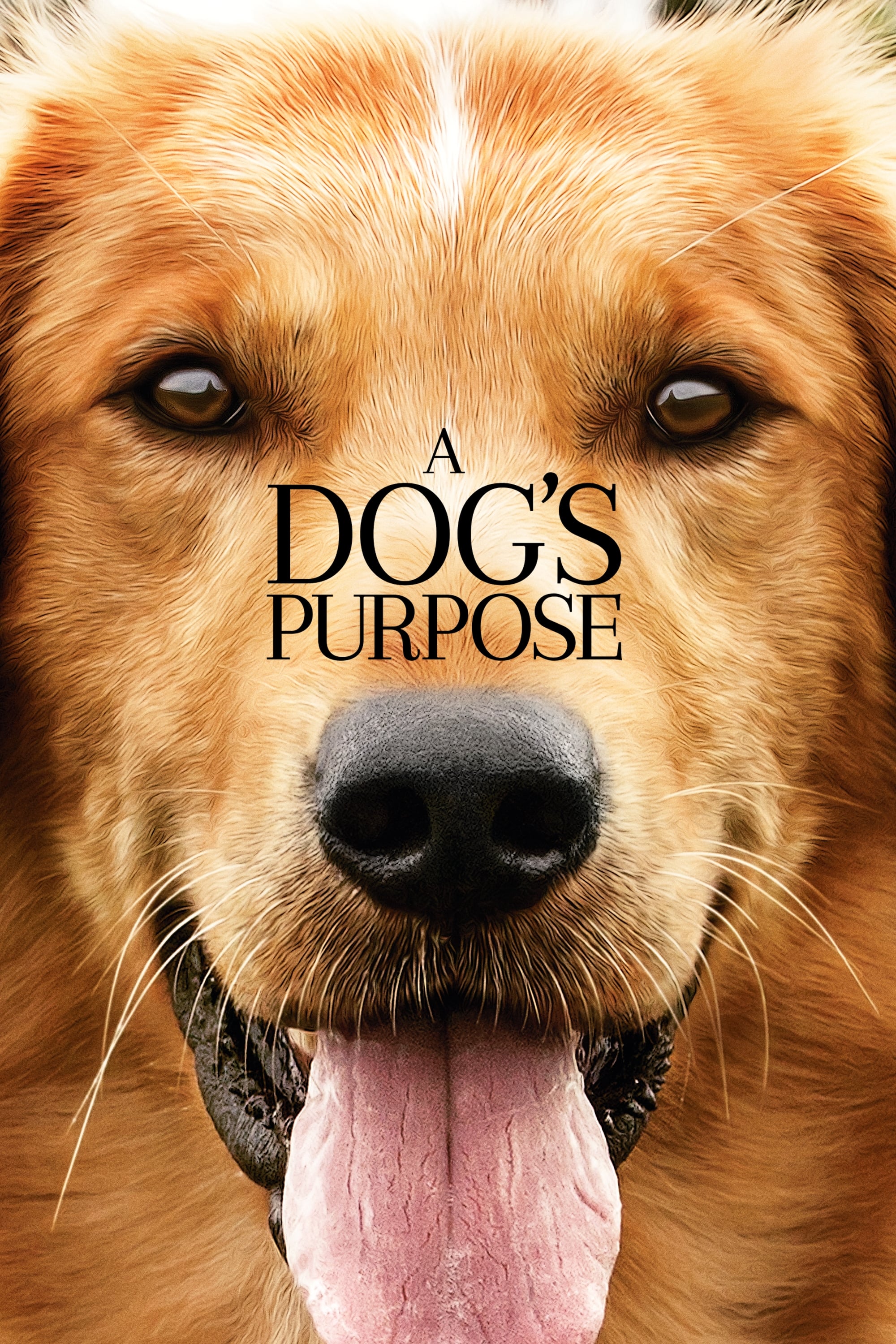 Banner Phim Mục Đích Sống Của Một Chú Chó (A Dog's Purpose)
