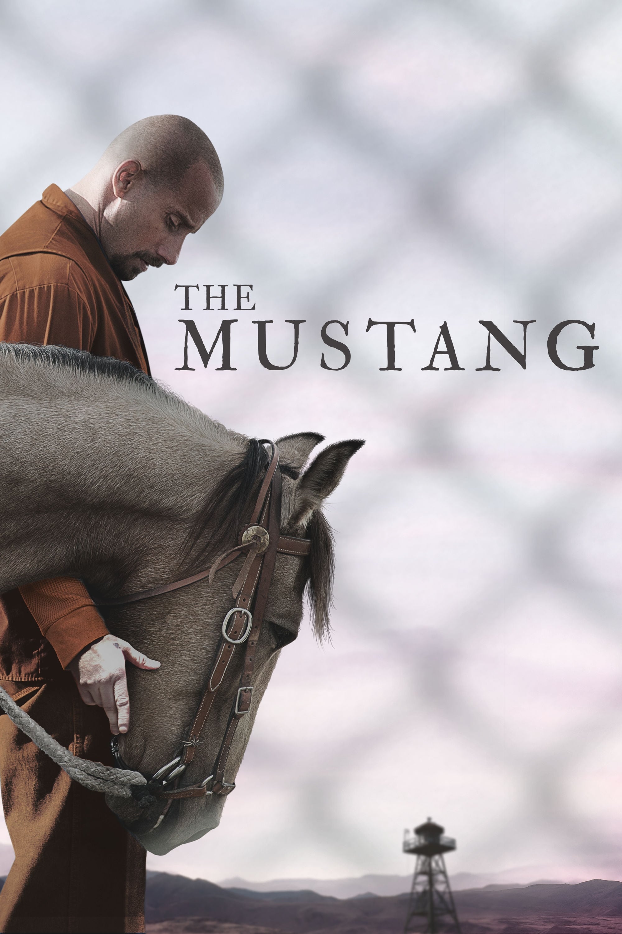 Banner Phim Mustang: Thuần hóa (The Mustang)