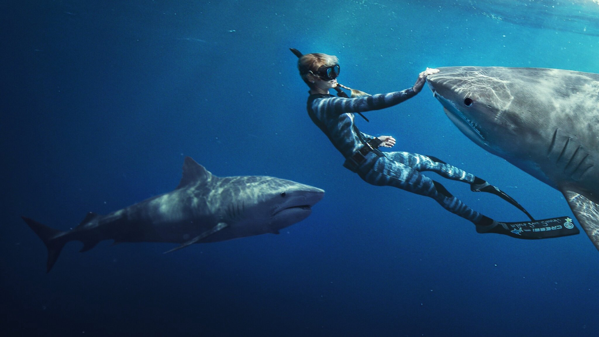 Xem Phim Người bạn của cá mập (Shark Whisperer)