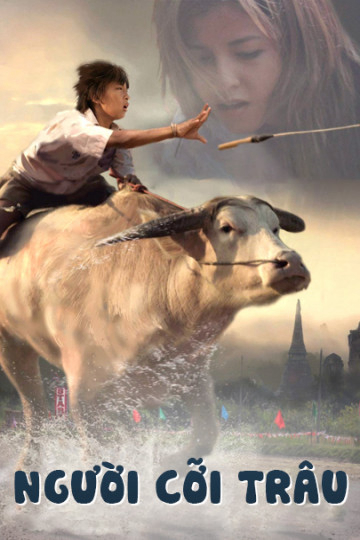 Banner Phim Người Cỡi Trâu (Buffalo Rider)