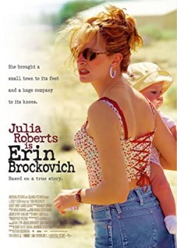 Banner Phim Nhà Hoạt Động Vì Môi Trường (Erin Brockovich)
