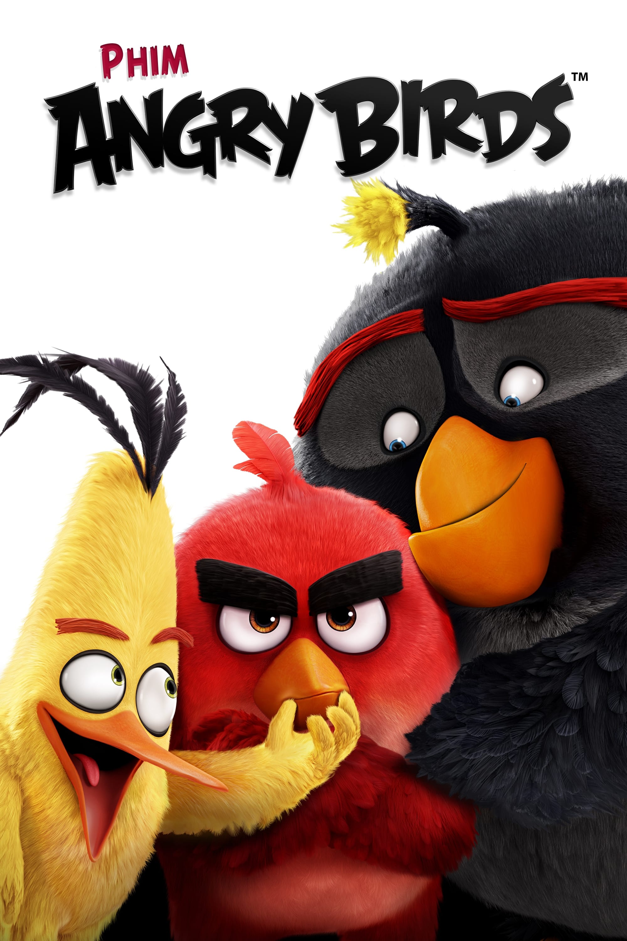 Banner Phim Những Chú Chim Giận Dữ (The Angry Birds Movie)