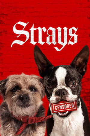 Banner Phim Những Chú Chó Bụi Đời (Strays (2023))