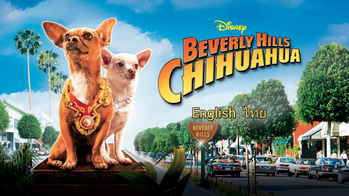 Xem Phim Những Chú Chó Chihuahua (Beverly Hills Chihuahua)