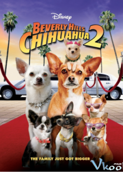 Banner Phim Những Chú Chó Chihuahua Ở Đồi Beverly 2 (Beverly Hills Chihuahua II)