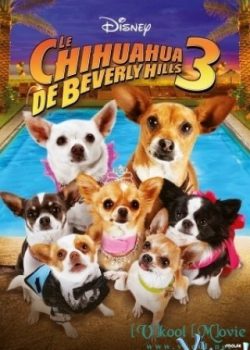 Banner Phim Những Chú Chó Chihuahua Ở Đồi Beverly 3 (Beverly Hills Chihuahua III: Viva La Fiesta!)