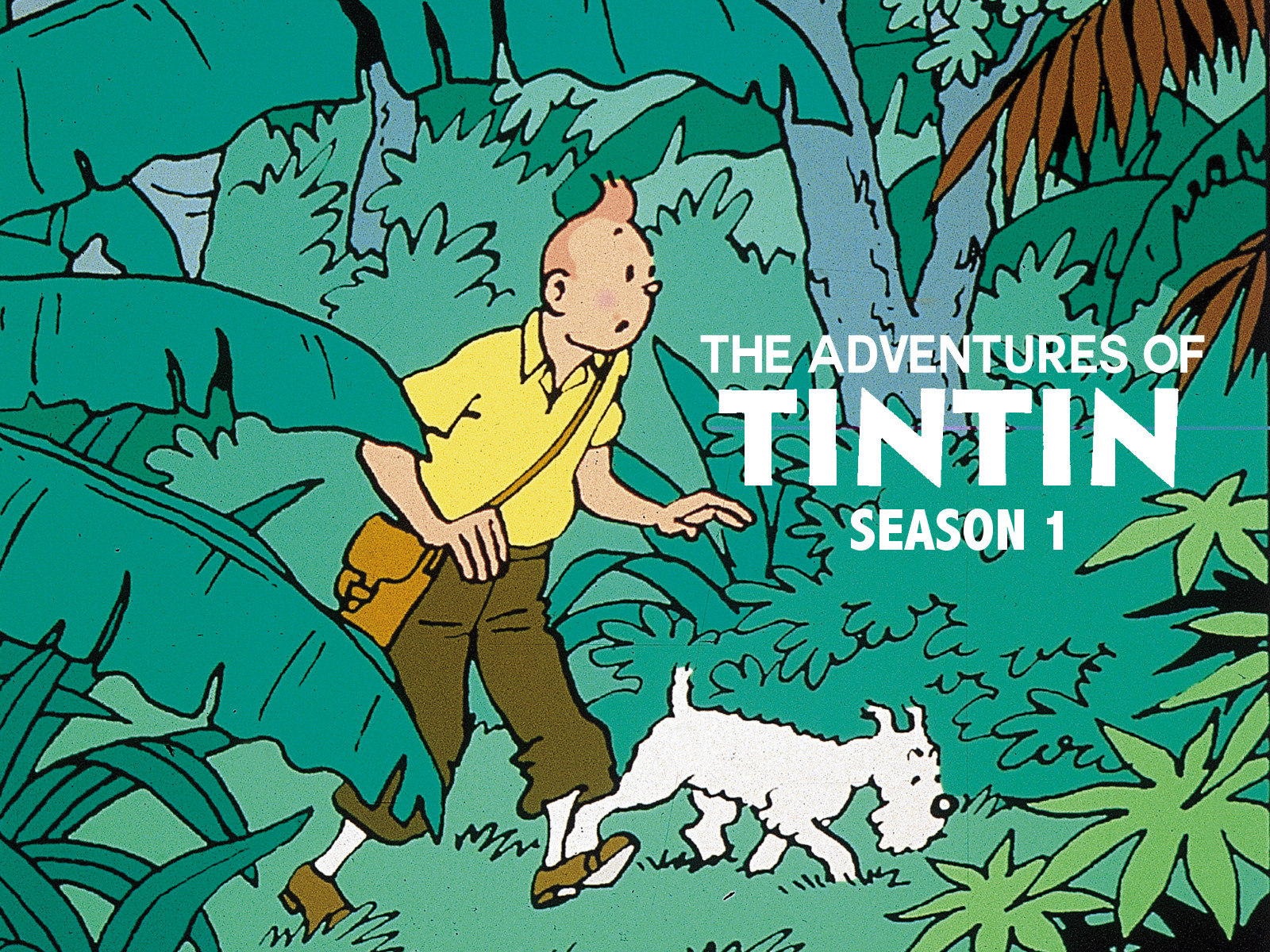 Banner Phim Những Cuộc Phiêu Lưu Của Tintin: Phần 1 (The Adventures of Tintin (Season 1))