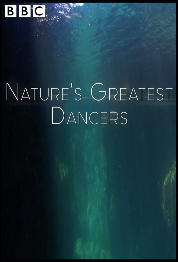 Banner Phim Những Vũ Công Cừ Khôi Của Tự Nhiên (Nature's Greatest Dancers)