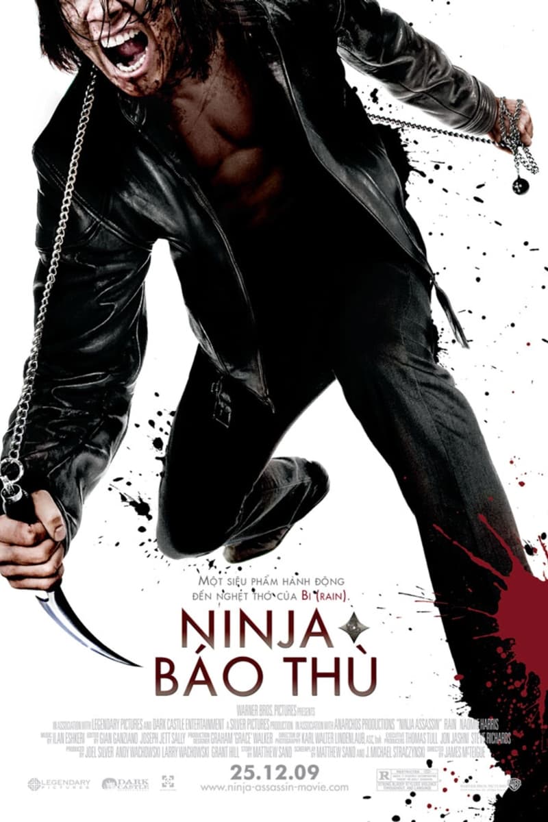 Banner Phim Ninja Sát Thủ (Ninja Assassin)