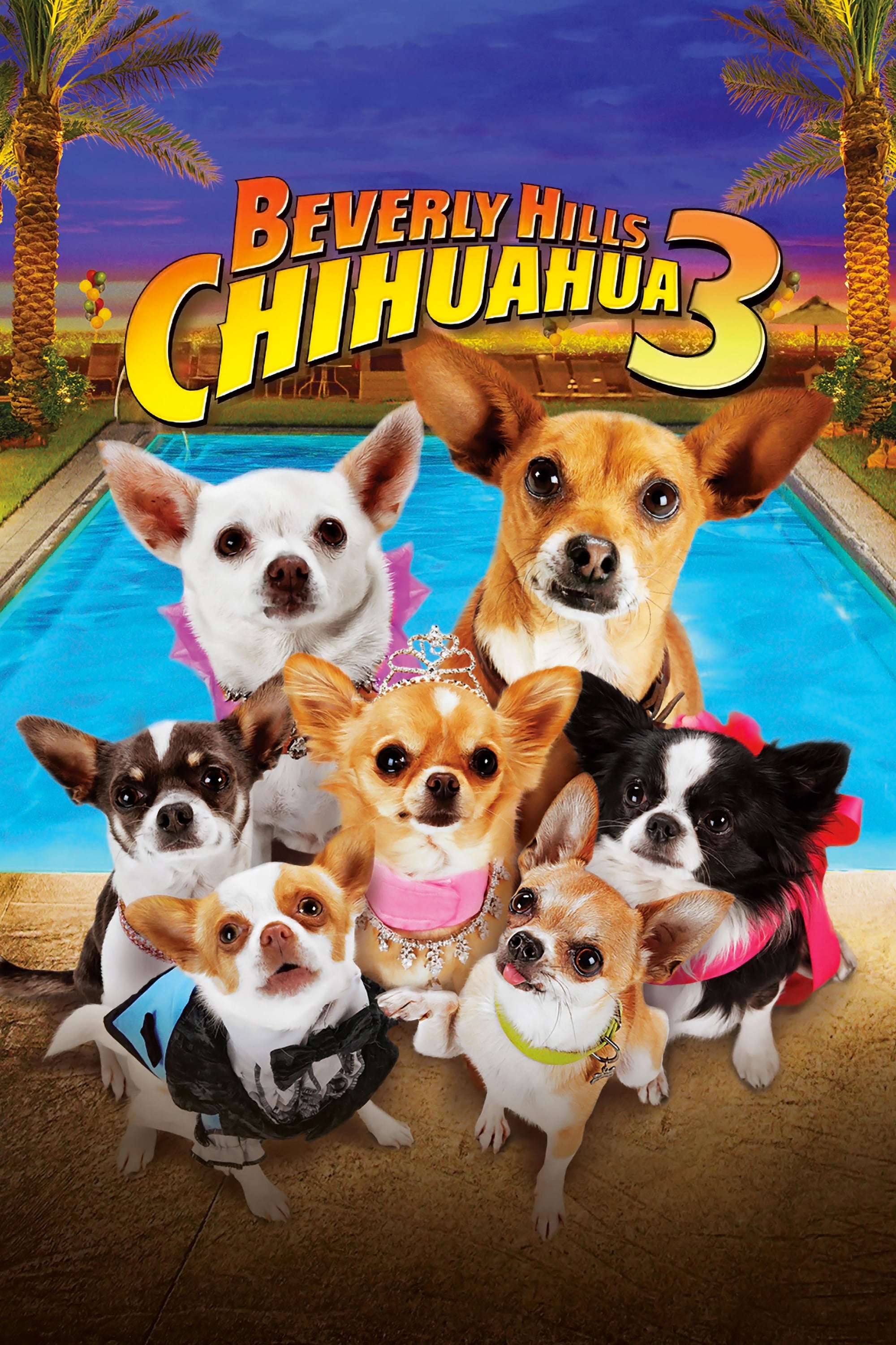 Banner Phim Nữ Minh Tinh và Chàng Lãng Tử 3: Bữa Tiệc Lớn! (Beverly Hills Chihuahua 3: Viva la Fiesta!)