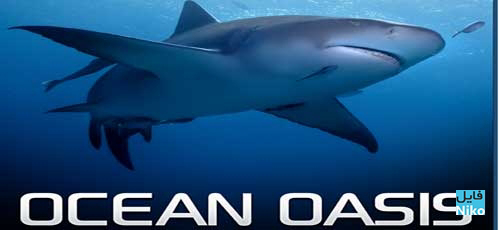 Banner Phim Ốc Đảo Của Đại Dương (Ocean Oasis)