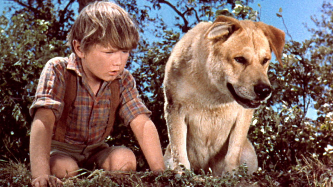 Banner Phim Old Yeller (Old Yeller)