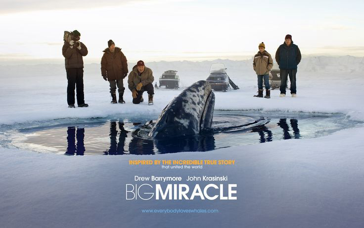 Banner Phim Phép Màu (Big Miracle)