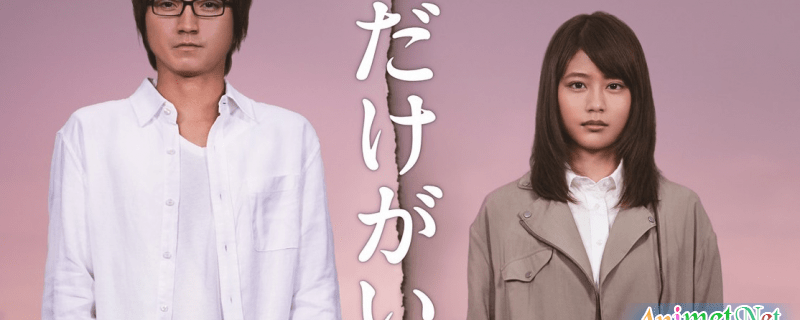 Banner Phim Boku Dake ga Inai Machi (Live Action) (The Town Where Only I Am Missing | Thị Trấn Nơi Chỉ Mình Tôi Lưu Lạc Live Action)