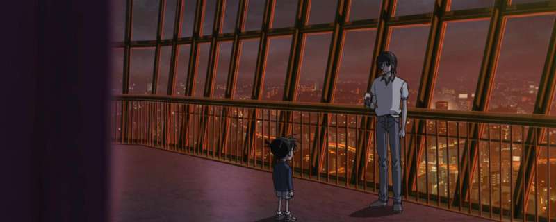Banner Phim Detective Conan Movie 13: The Raven Chaser - Truy lùng Tổ chức Áo Đen (Case Closed The Movie 13, Meitantei Conan: Shikkoku no Chaser)