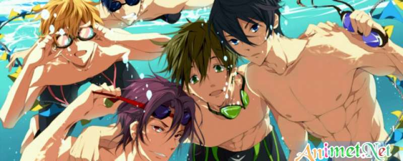 Banner Phim Free! (Iwatobi Swim Club)