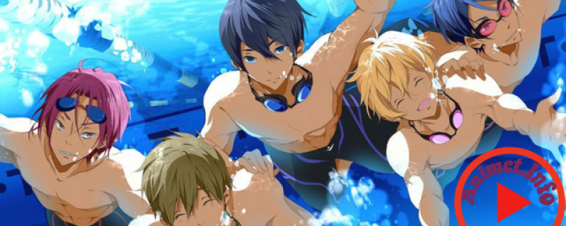 Banner Phim Free!: Dive to the Future (Ss3) (Free! 3rd Season, Free!-Dive to the Future-)