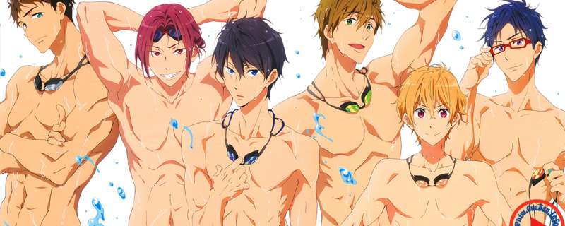 Banner Phim Free!: Eternal Summer - Kindan no All Hard! (Free!: Eternal Summer Special, Free!: Iwatobi Swim Club 2 Special, Free! 2nd Season Special)
