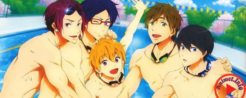 Banner Phim Free!: Eternal Summer (Ss2) (Free! - Iwatobi Swim Club 2 | Free! 2nd Season | Free! - Eternal Summer)