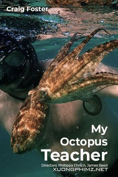 Banner Phim Cô Giáo Bạch Tuộc (My Octopus Teacher)
