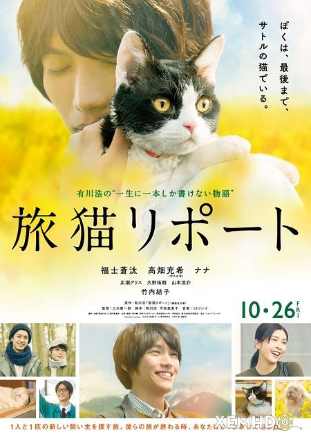 Banner Phim Cuộc Hành Trình Của Mèo Nana (Tabineko Ripôto / The Travelling Cat Chronicles)