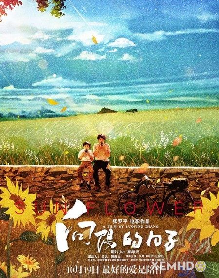 Banner Phim Hẹn Ước Hoa Hướng Dương (Sun Flower)
