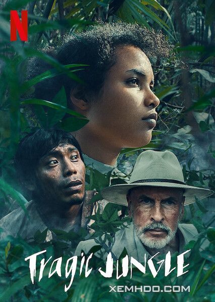 Banner Phim Khu Rừng Bi Thảm (Tragic Jungle)