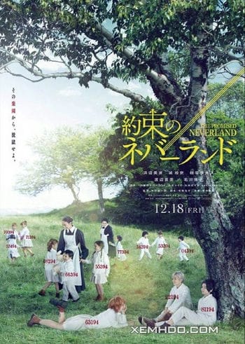 Banner Phim Miền Đất Hứa (The Promised Neverland / Yakusoku No Neverland)