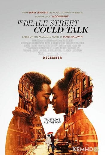 Banner Phim Phố Beale Lên Tiếng (If Beale Street Could Talk)