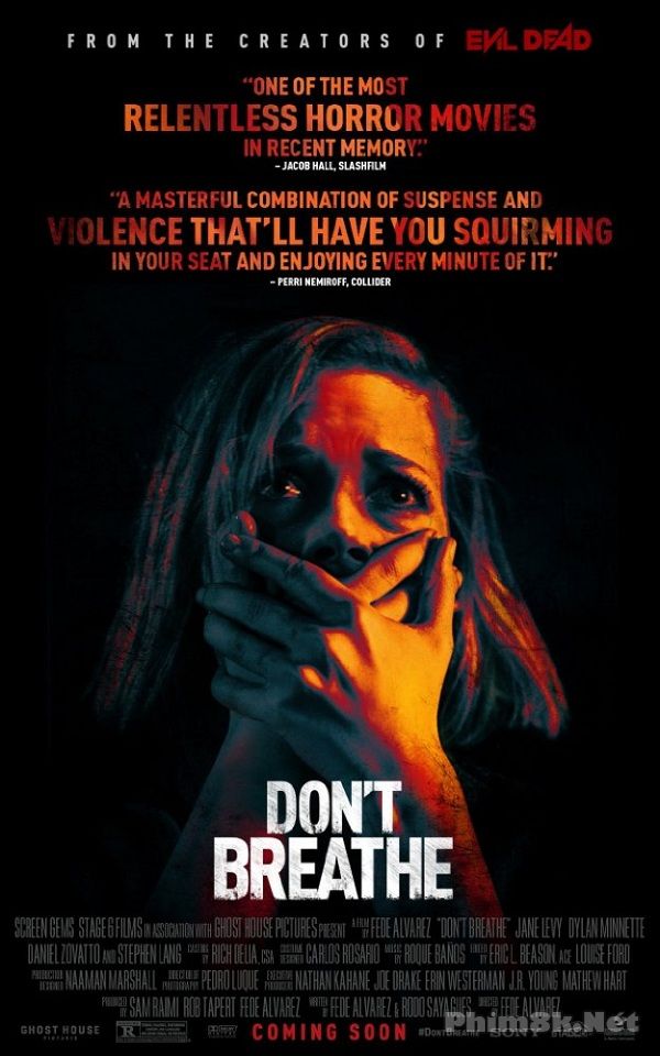 Banner Phim Sát Nhân Trong Bóng Tối / Đừng Thở (Dont Breathe)