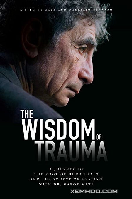 Banner Phim Sự Khôn Ngoan Từ Tổn Thương (The Wisdom Of Trauma)