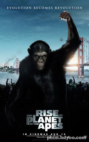 Banner Phim Sự Nổi Dậy Của Bầy Khỉ (Rise Of The Planet Of The Apes)