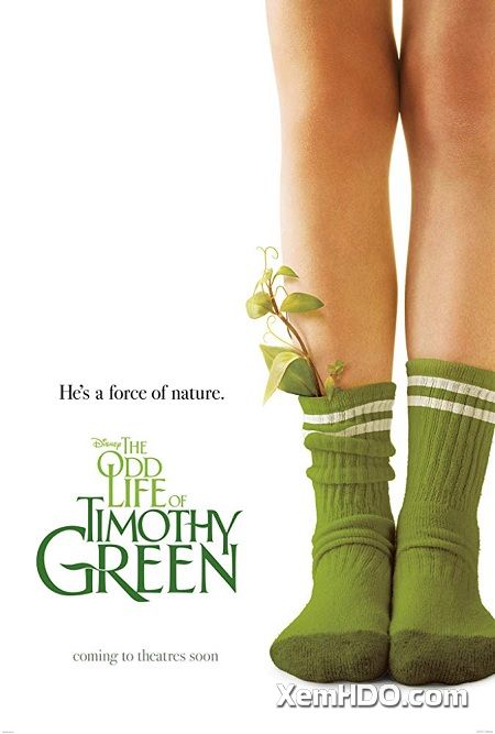Banner Phim Timothy Và Mảnh Đời Kỳ Lạ (The Odd Life Of Timothy Green)