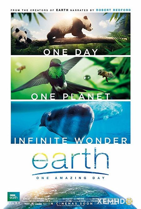Banner Phim Trái Đất: Một Ngày Tuyệt Vời (Earth: One Amazing Day)