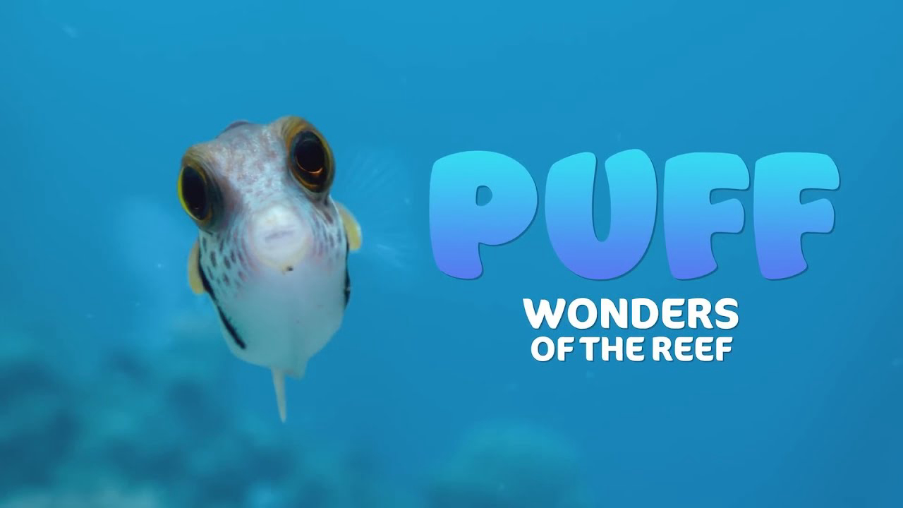 Xem Phim Puff: Rạn san hô kỳ diệu (Puff: Wonders of the Reef)