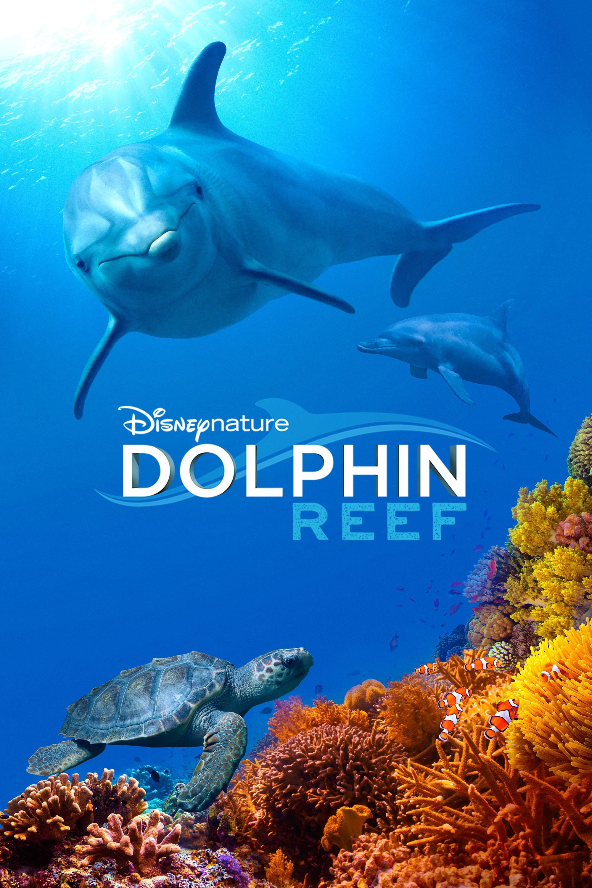 Banner Phim Rạn San Hô Cá Heo (Dolphin Reef)