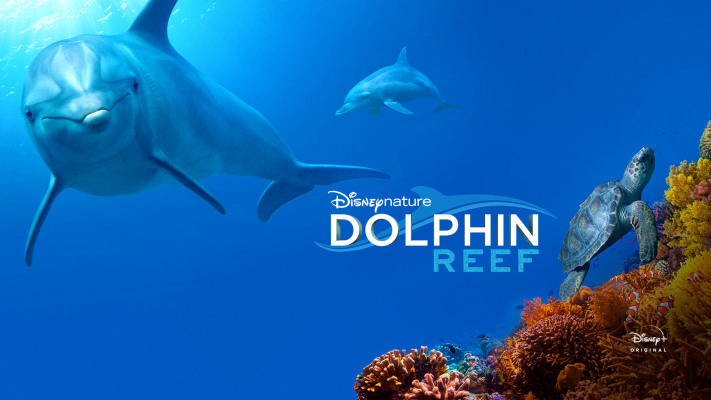 Xem Phim Rạn San Hô Cá Heo (Dolphin Reef)