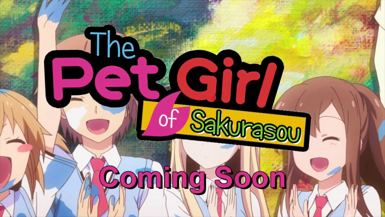 Banner Phim Sakurasou No Pet Na Kanojo (The Pet Girl of Sakurasou [Blu-ray])