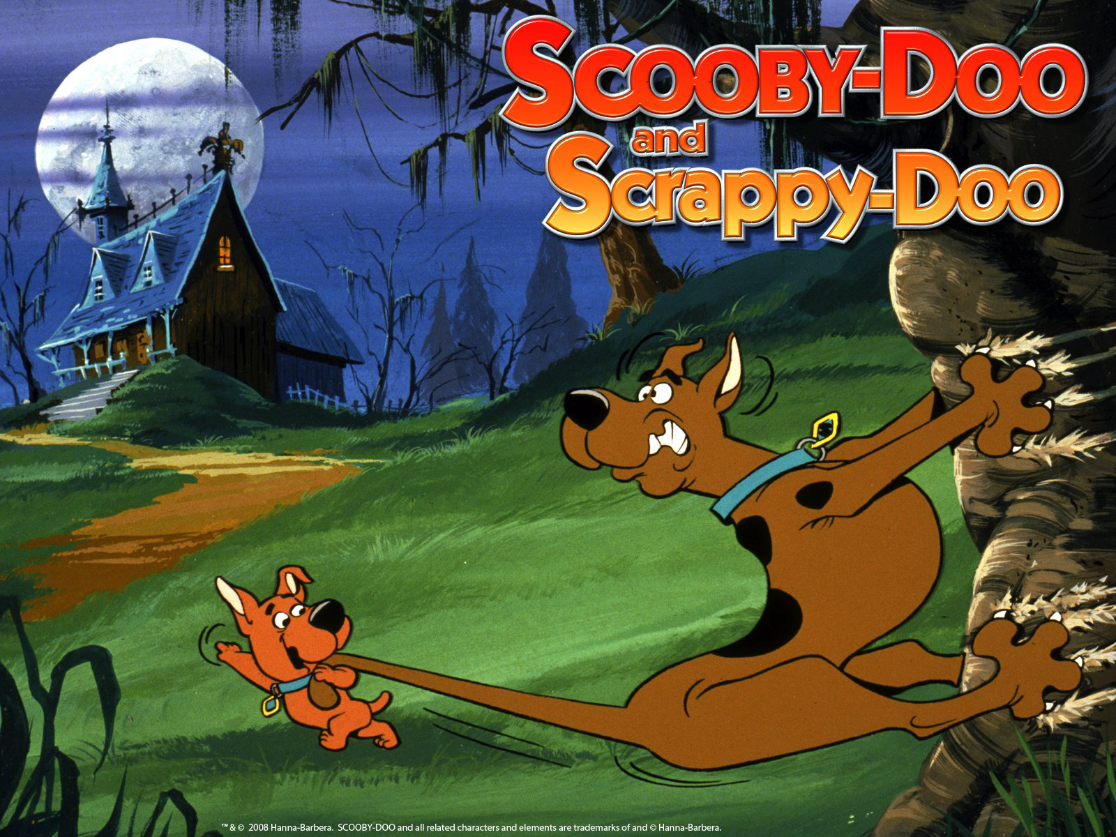 Banner Phim Scooby-Doo and Scrappy-Doo (Phần 4) (Scooby-Doo and Scrappy-Doo (Season 4))