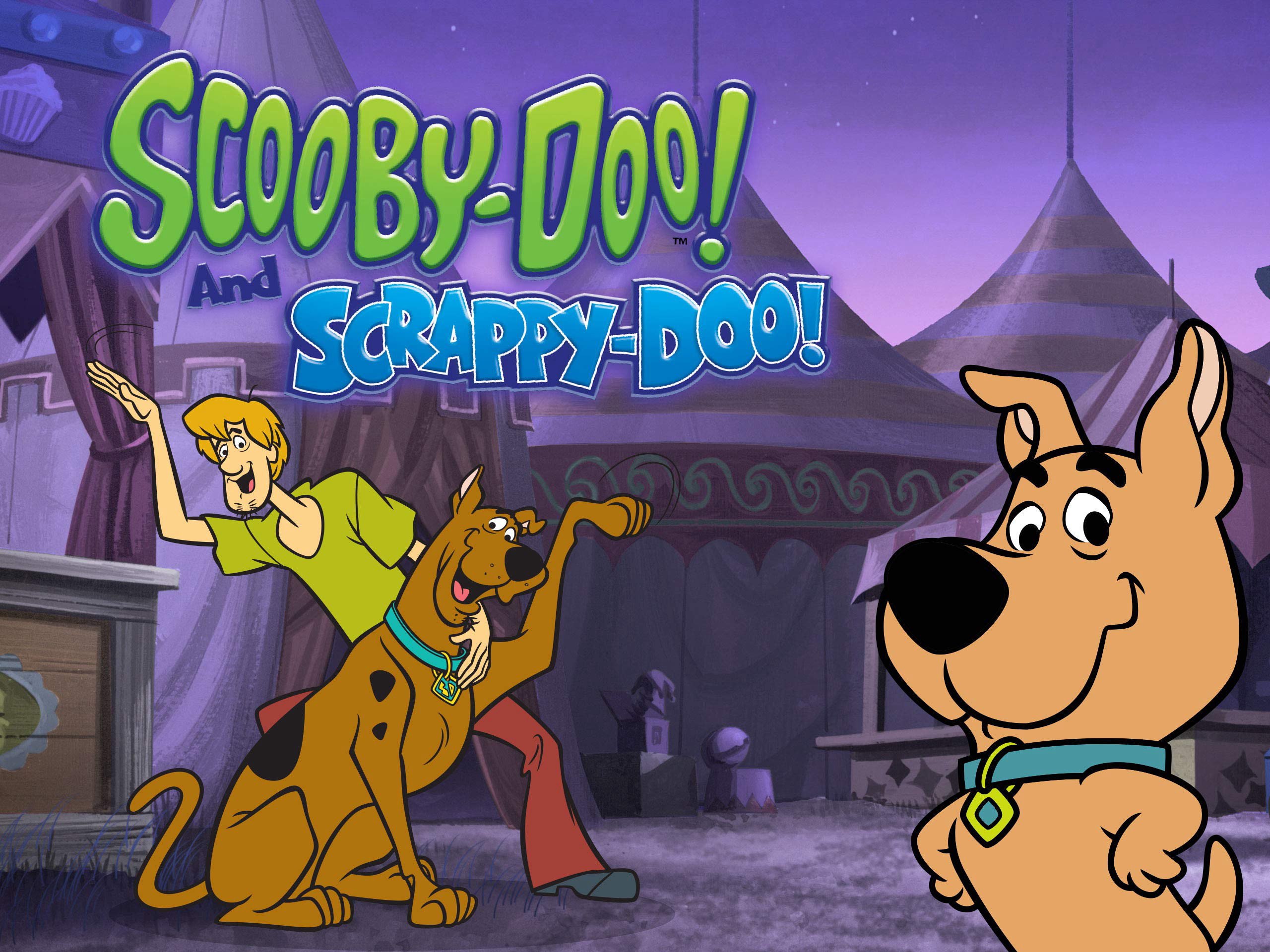 Banner Phim Scooby-Doo and Scrappy-Doo (Phần 6) (Scooby-Doo and Scrappy-Doo (Season 6))