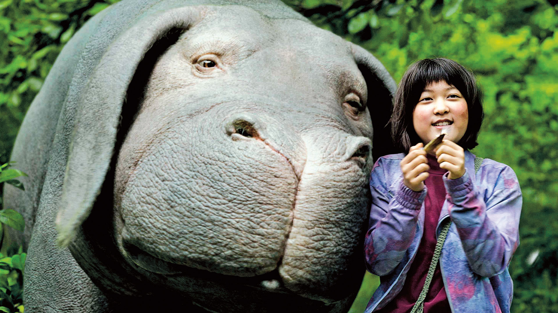 Banner Phim Siêu lợn Okja (Okja)