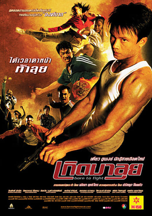 Banner Phim Sinh Ra Để Chiến Đấu (Born to Fight)