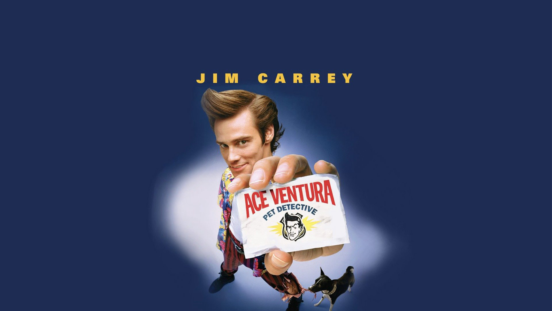 Xem Phim Thám Tử Thú Cưng (Ace Ventura: Pet Detective)