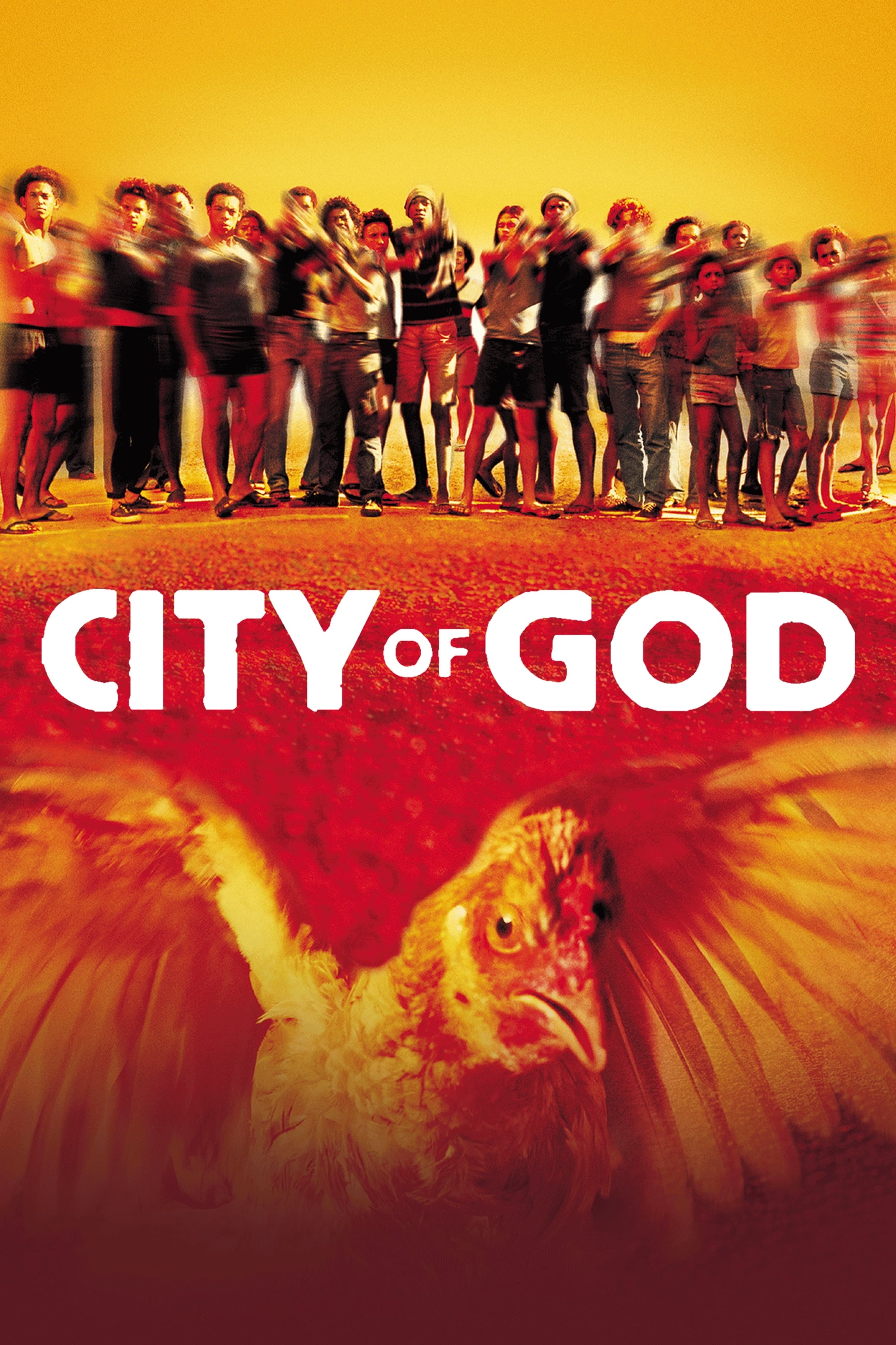 Banner Phim Thành Phố Của Chúa (City of God)