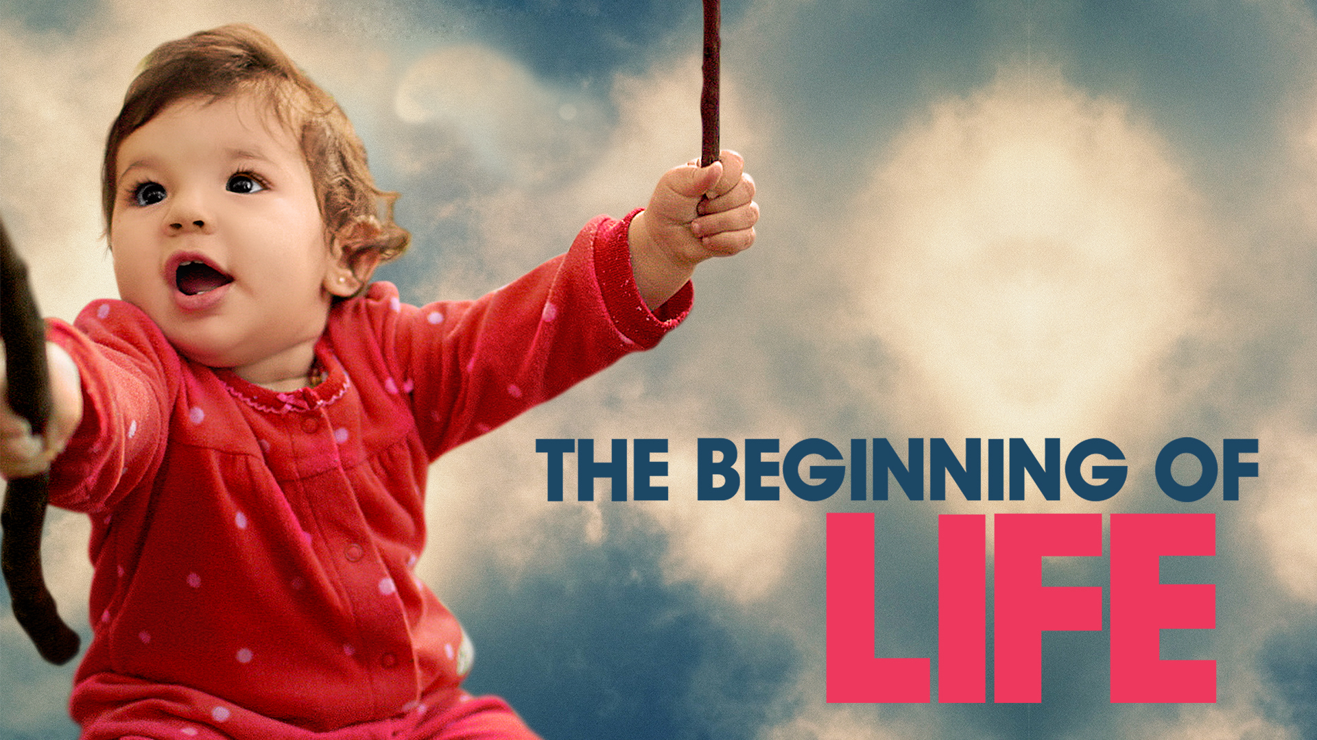 Banner Phim The Beginning of Life (The Beginning of Life)