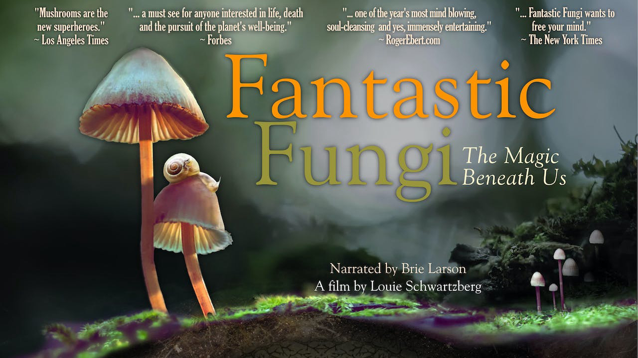 Banner Phim Thế giới nấm diệu kỳ (Fantastic Fungi)