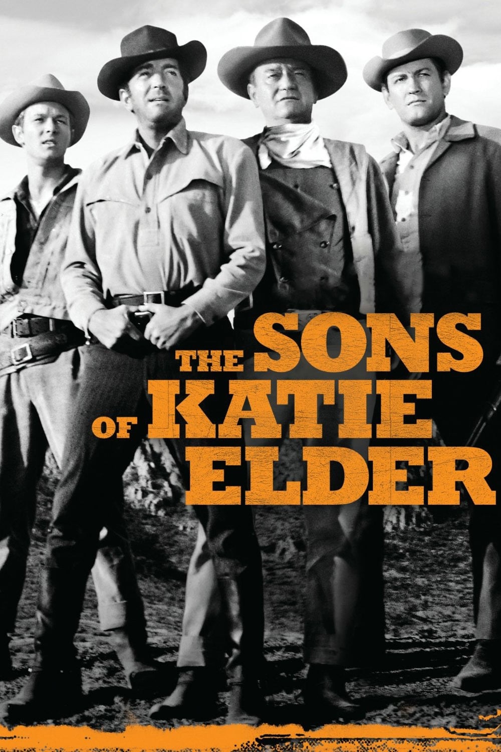 Banner Phim The Sons of Katie Elder (The Sons of Katie Elder)