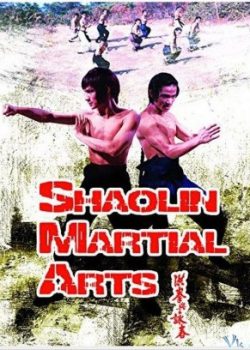 Banner Phim Thiếu Lâm Hồng Gia Quyền (Shaolin Martial Arts)