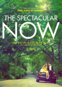 Banner Phim Thực Tại Hoàn Mỹ (The Spectacular Now)